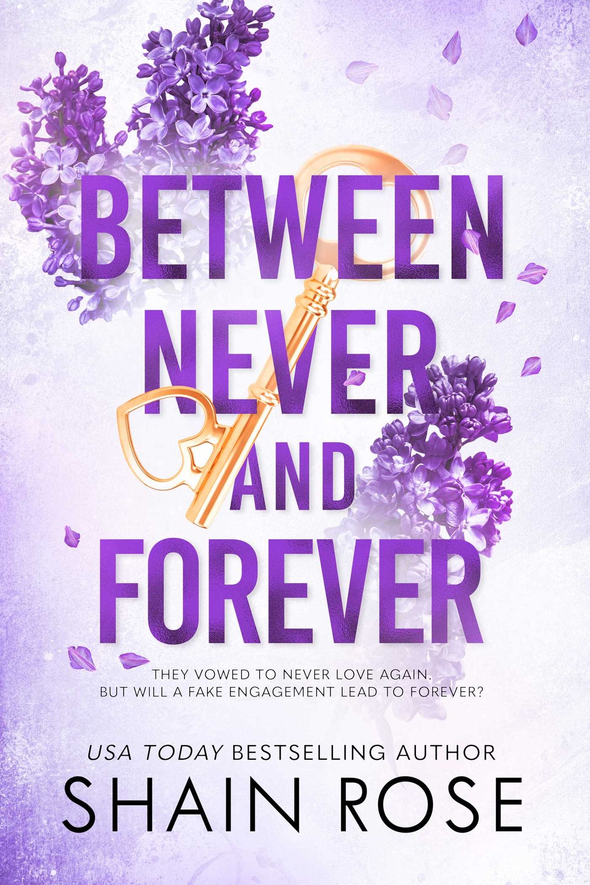 Between Never and Forever image 0