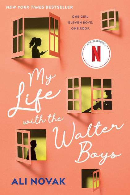 My Life with the Walter Boys image 0