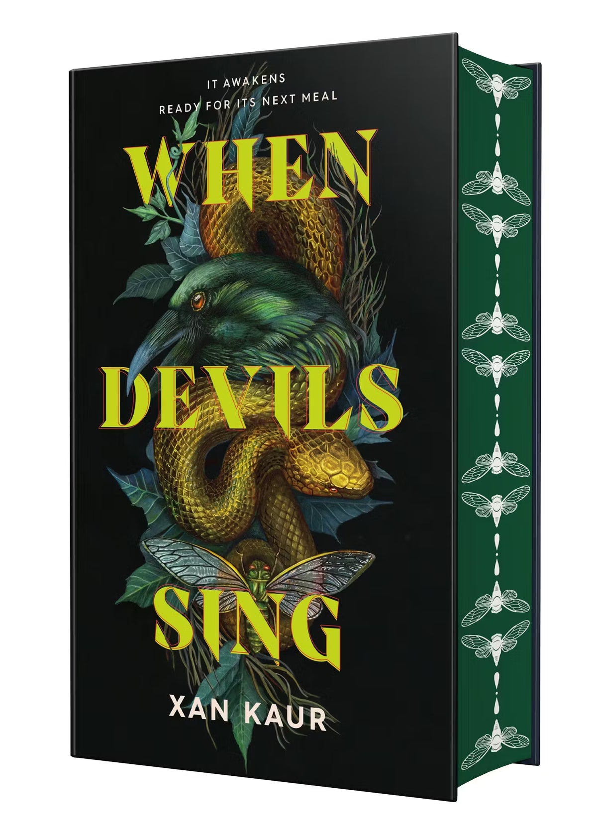 When Devils Sing: Deluxe Edition image 0