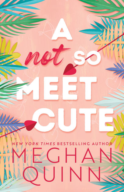 A Not So Meet Cute image 0