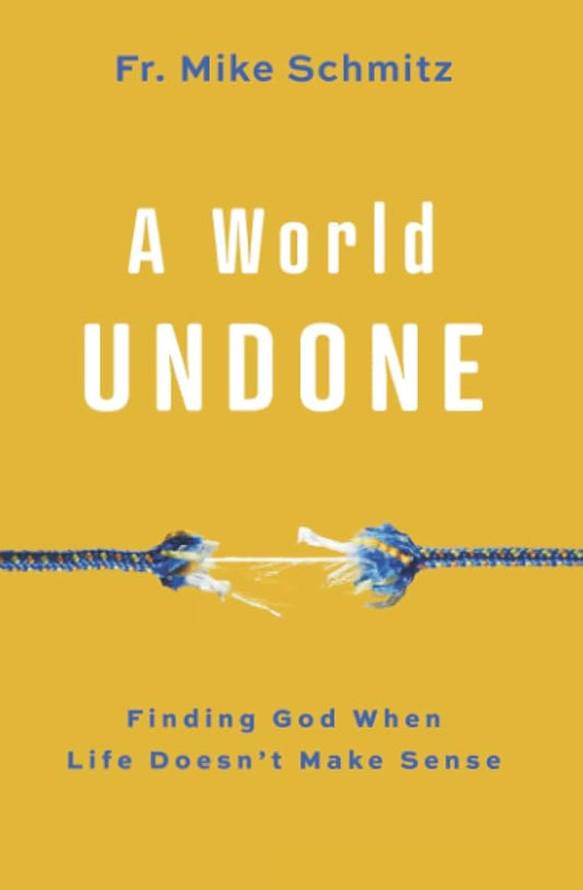 World Undone: Finding God When Life Doesn't Make Sense image 0